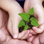 Top_sustentabilidade