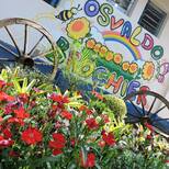 Top_escola