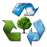 Top_meio-ambiente-1
