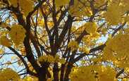 Faca_acontecer_img-20210910-wa0091