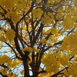 Top_img-20210910-wa0091