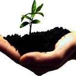 Top_sustentabilidade_8a