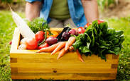 Faca_acontecer_imagem_alimentos