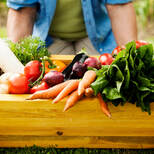 Top_imagem_alimentos