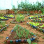 Top_fotos_horta_039