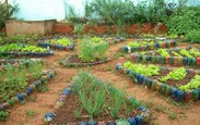 Faca_acontecer_fotos_horta_039
