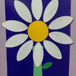 Top_flor_das_solu__es_az