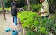 Faca_acontecer_whatsapp_image_2022-11-24_at_12.45.21