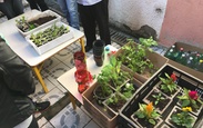 Faca_acontecer_img_2469
