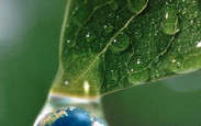 Faca_acontecer_gota_d__gua_a_gota_poesia_a_gota_da_minha_poesia_a_gota_mulher_a_gota____