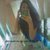 Thumb_sq_hilary