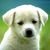 Thumb_sq_ana_clara_mendes