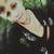 Thumb_sq_karina