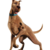 Thumb_sq_scooby-doo__live-action_version_