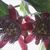 Thumb_sq_img-20141025-wa0000
