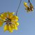 Thumb_sq_307594_114243888677765_5072637_n
