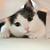 Thumb_sq_images__4_