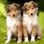Thumb_sq_images__7_