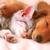 Thumb_sq_images__1_