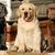Thumb_sq_images
