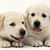 Thumb_sq_foto_edukatu