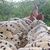 Thumb_sq_15697872_1412698738740438_3046217994760200886_n