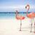 Thumb_sq_images