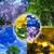 Thumb_sq_download
