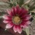 Thumb_sq_img_20210407_115917_063