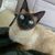 Thumb_sq_p_20211103_114052_p