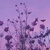 Thumb_sq_screenshot_20220401-103215